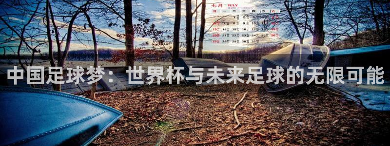 2026足球世界杯赛程时间表：中国足球梦：世界杯与未来足球的无限可能