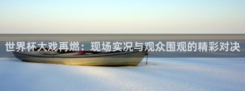 2026世界杯官网入口：世界杯大戏再燃：现场实况与观众围观的精彩对决