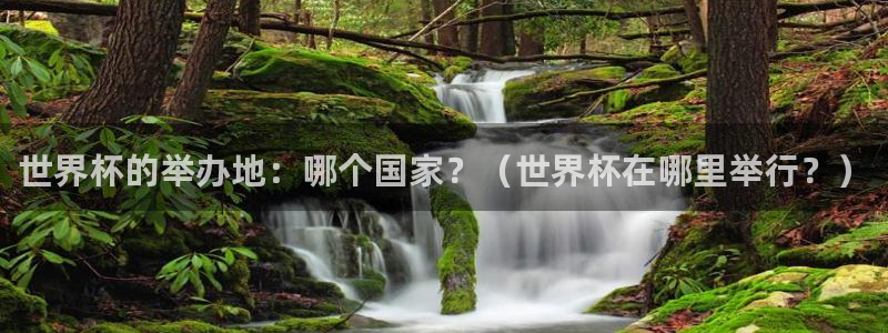 2026世界杯赛：世界杯的举办地：哪个国家？（世界杯在哪里举行？）