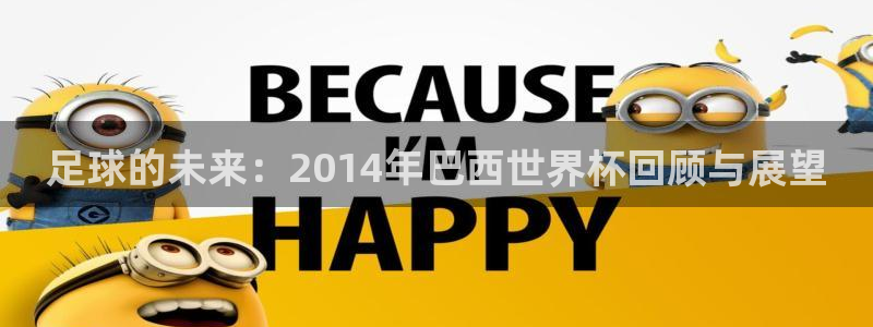 预选赛世界杯：足球的未来：2014年巴西世界杯回顾与展望