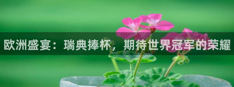 女足世界杯直播：欧洲盛宴：瑞典捧杯，期待世界冠军的荣耀