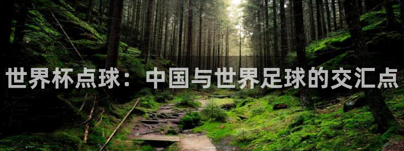 足球世界杯2026年赛程时间表：世界杯点球：中国与世界足球的交汇点
