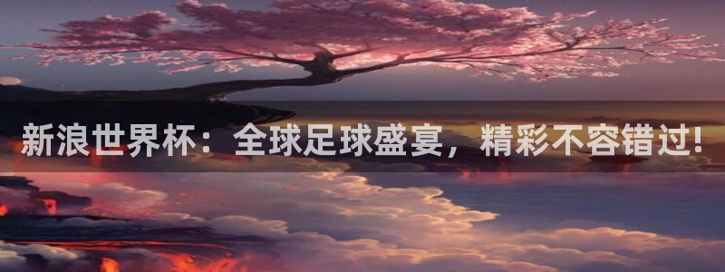 世界杯 赛程：新浪世界杯：全球足球盛宴，精彩不容错过!