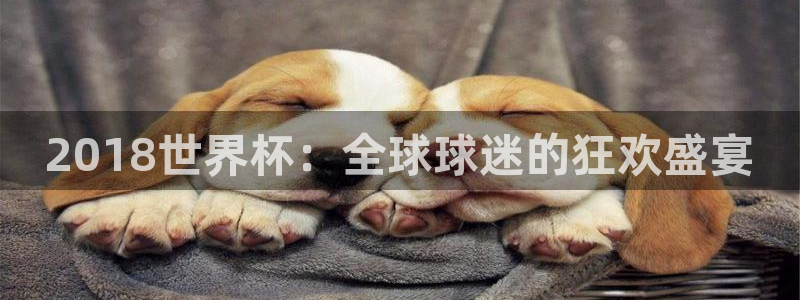 世界杯附加赛赛程表：2018世界杯：全球球迷的狂欢盛宴