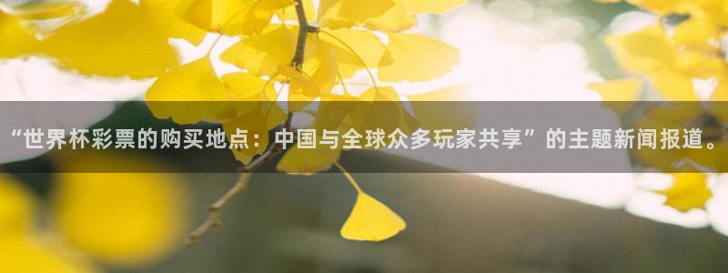 英足总杯直播：“世界杯彩票的购买地点：中国与全球众多玩家共享”的主题新闻报道。