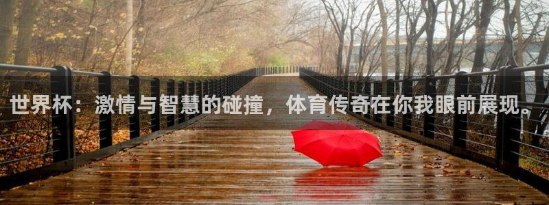 2026世界杯亚洲区预选赛：世界杯：激情与智慧的碰撞，体育传奇在你我眼前展现。