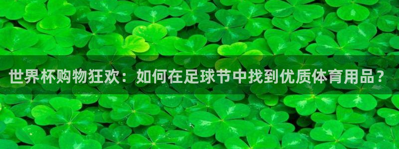 2026世界杯赛制：世界杯购物狂欢：如何在足球节中找到优质体育用品？