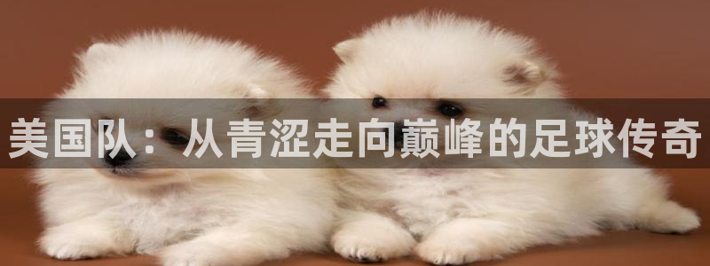 世界杯系列赛：美国队：从青涩走向巅峰的足球传奇